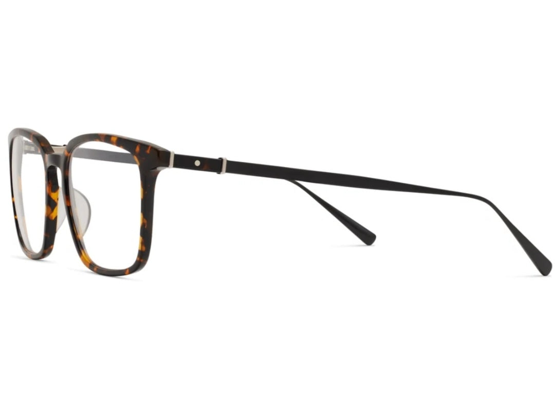 ROBERT MARC RMNYC 2025 COFFEE/ MATTE BLACK 549 RECTANGLE OPHTHALMIC GLASSES