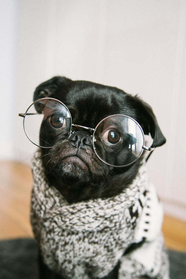 Should You Get Glasses with Nose Pads?