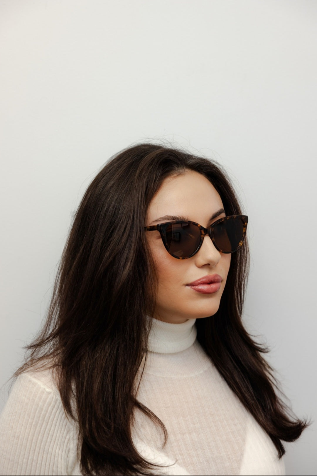 ZACHARY BERNARD CAROLINA CAT EYE POLARIZED SUNGLASSES